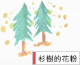杉樹的花粉