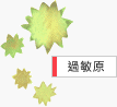 過敏原