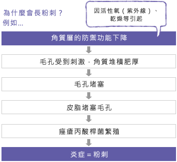 為什麼會長粉刺？ 例如…