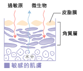 敏感的肌膚