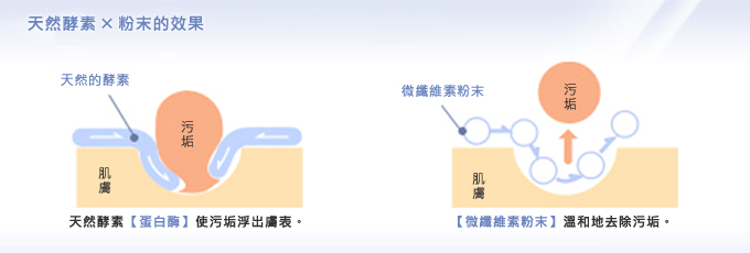天然酵素 × 粉末的效果